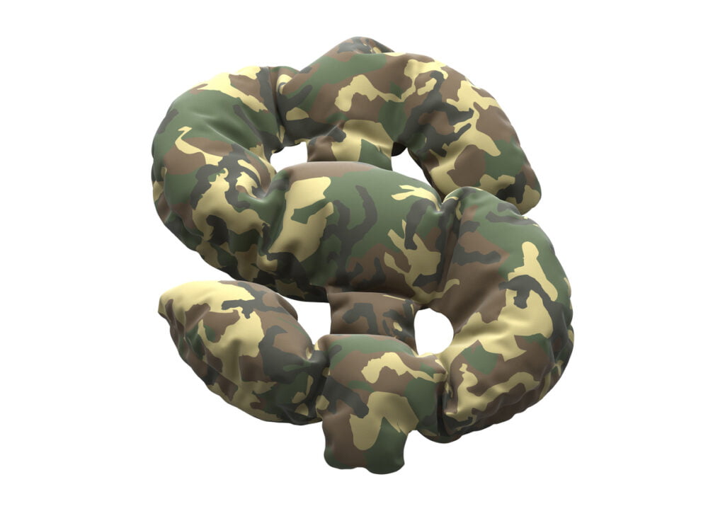camouflage print on a dollar symbol